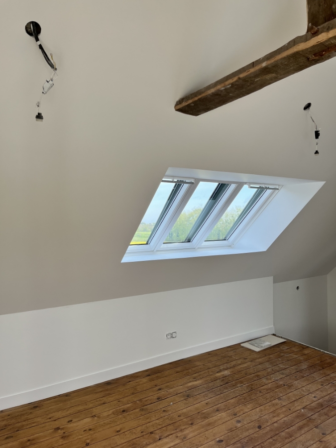 RENOVATION (1)